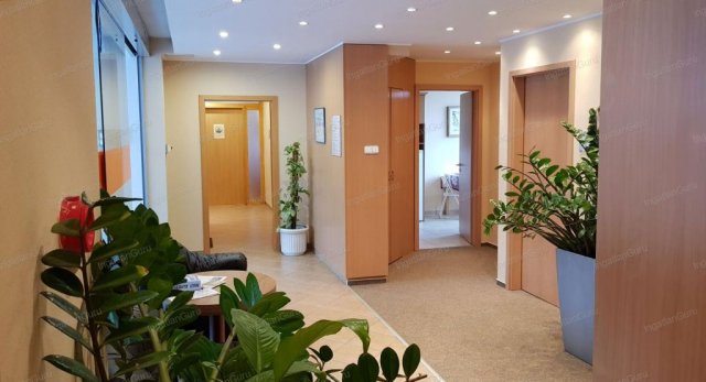 Kiadó iroda, Kecskeméten 135 E Ft / hó, 1 szobás