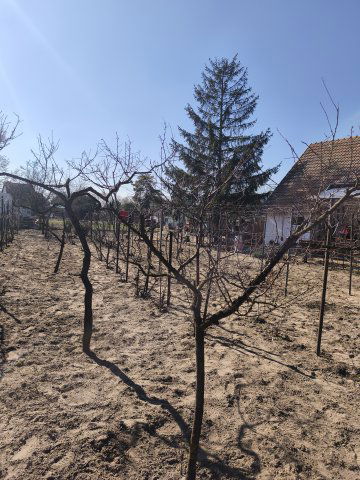 Eladó nyaraló, Szegeden 32.8 M Ft, 2+1 szobás