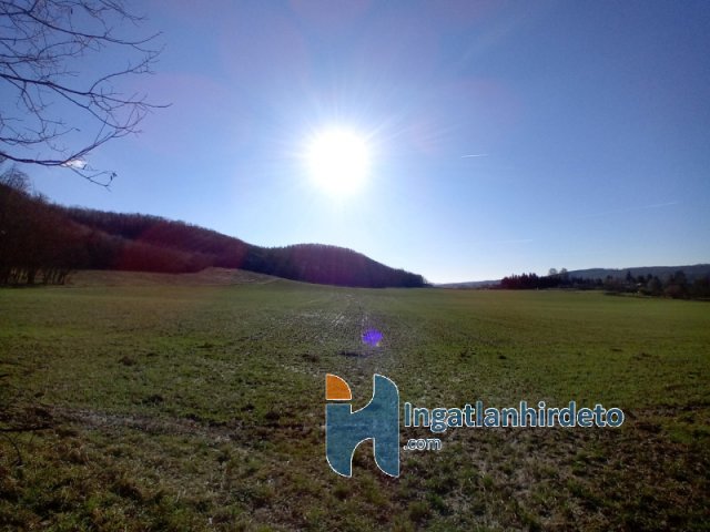 Eladó mezogazdasagi ingatlan, Kisbucsán 4 M Ft