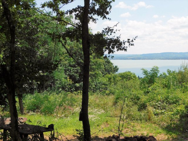 Eladó mezogazdasagi ingatlan, Révfülöpön 25 M Ft