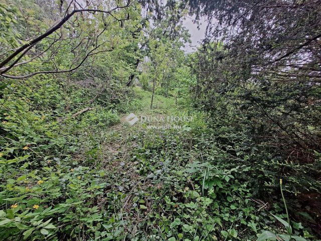 Eladó családi ház, Gödöllőn 59.9 M Ft, 3 szobás