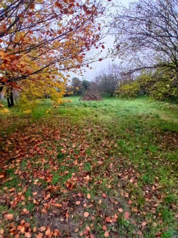 Eladó családi ház, Balatonfőkajáron 40 M Ft, 2 szobás