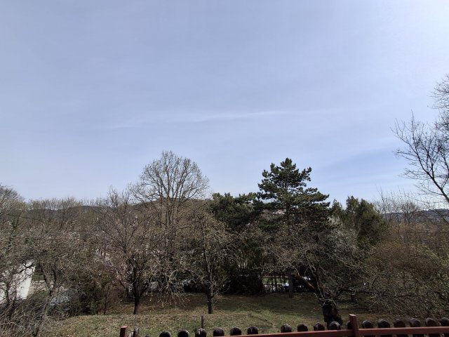 Eladó családi ház, Budapesten, II. kerületben 335 M Ft