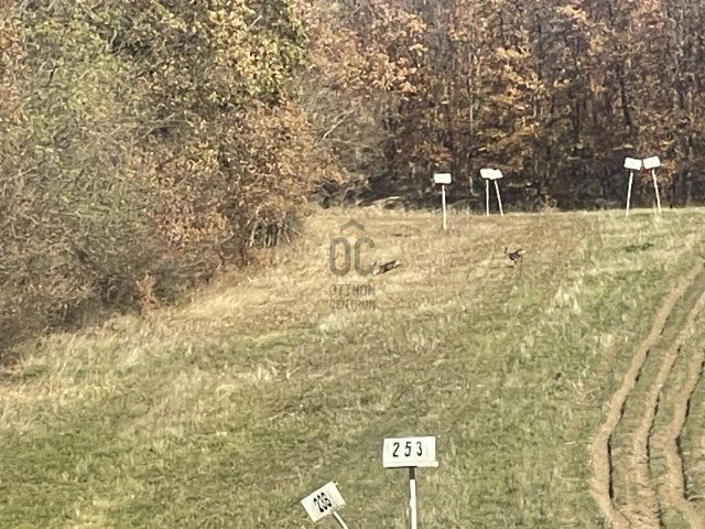 Eladó mezogazdasagi ingatlan, Kosdon 59 M Ft / költözzbe.hu