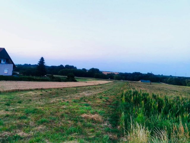 Eladó telek, Zamárdiban 68.5 M Ft / költözzbe.hu