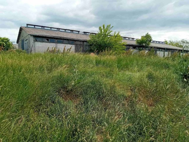 Eladó mezogazdasagi ingatlan, Zamárdiban 60 M Ft, 1 szobás