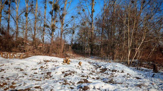 Eladó telek, Zalacsányon 9 M Ft / költözzbe.hu