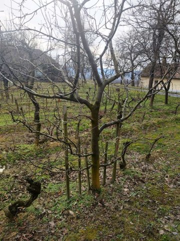 Eladó nyaraló, Zalaszentlászlón 45 M Ft, 1 szobás