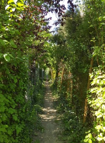 Eladó nyaraló, Ráckevén 12.9 M Ft, 1 szobás