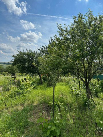 Eladó mezogazdasagi ingatlan, Iszkaszentgyörgyön 15.35 M Ft