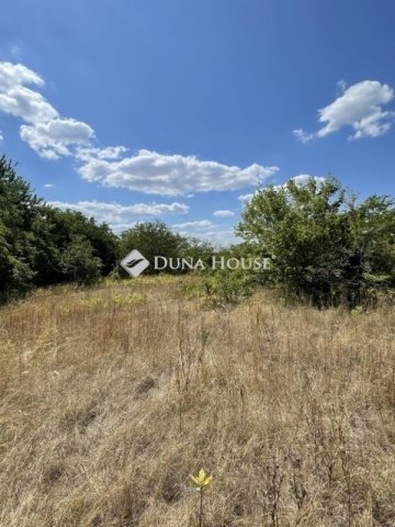 Eladó telek, Szadán 42 M Ft / költözzbe.hu