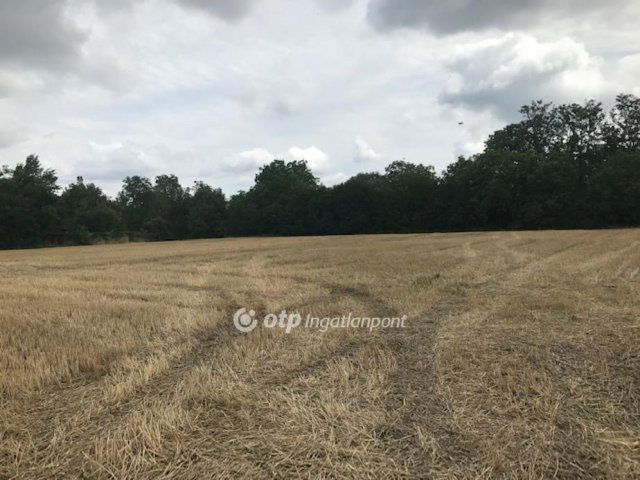 Eladó telek, Gyomaendrődön 10.5 M Ft / költözzbe.hu