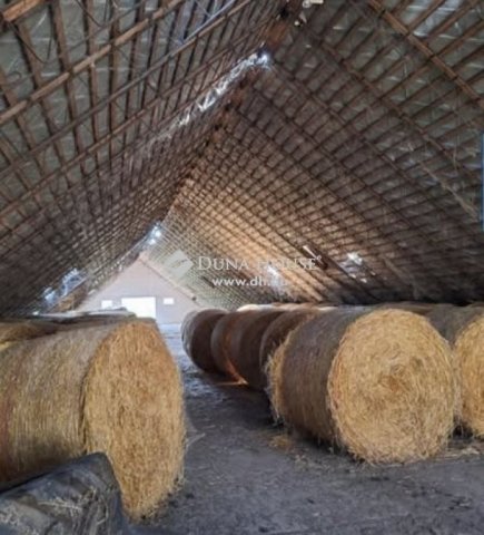 Eladó mezogazdasagi ingatlan, Hódmezővásárhelyen 59.9 M Ft