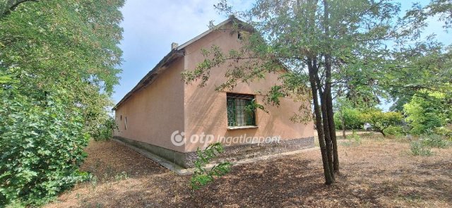 Eladó mezogazdasagi ingatlan, Orgoványon 18.9 M Ft, 3 szobás