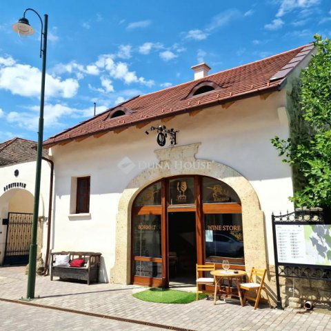 Eladó üzlethelyiség, Mádon, Rákóczi utcában 520 M Ft