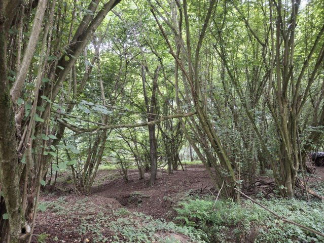 Eladó telek, Gosztolán 5.99 M Ft / költözzbe.hu