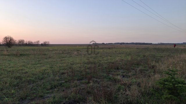 Eladó telek, Pécsudvardon 13.9 M Ft / költözzbe.hu