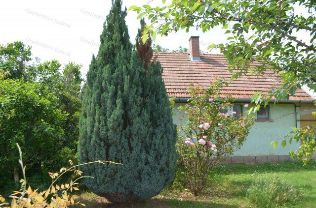 Eladó családi ház, Szolnokon 16.5 M Ft, 3 szobás