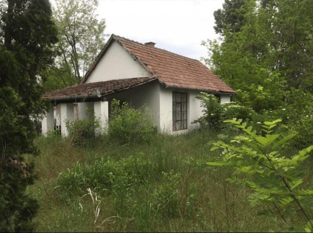 Eladó mezogazdasagi ingatlan, Sükösdön 16.9 M Ft