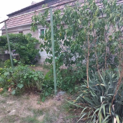 Eladó családi ház, Naszályon 35 M Ft, 2 szobás