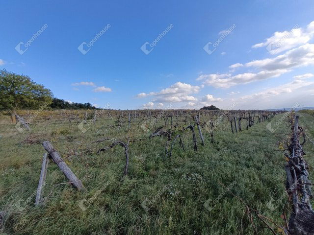 Eladó telek, Harkán 3.5 M Ft / költözzbe.hu