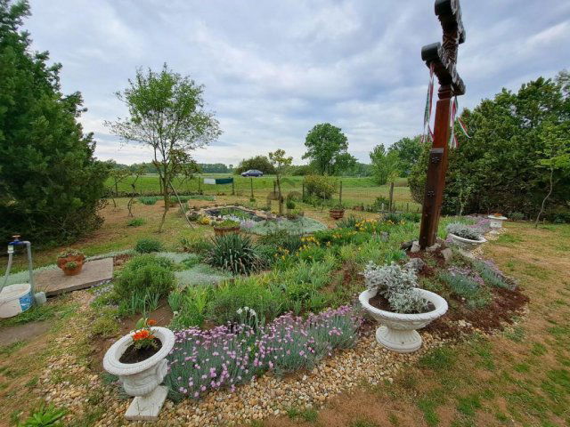 Eladó családi ház, Albertirsán 55.9 M Ft, 2 szobás