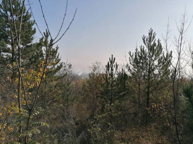 Eladó telek, Zsámbékon 6.8 M Ft / költözzbe.hu