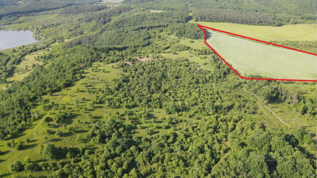 Eladó mezogazdasagi ingatlan, Sirokban 30 M Ft