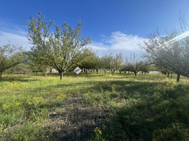 Eladó telek, Helvécián 5.99 M Ft / költözzbe.hu