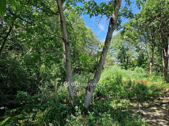 Eladó telek, Szegeden 25.5 M Ft / költözzbe.hu