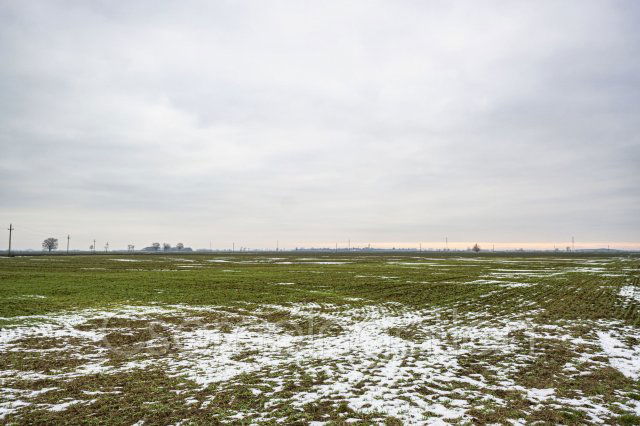 Eladó telek, Mihályin 6.6 M Ft / költözzbe.hu