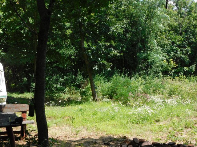 Eladó mezogazdasagi ingatlan, Révfülöpön 25 M Ft