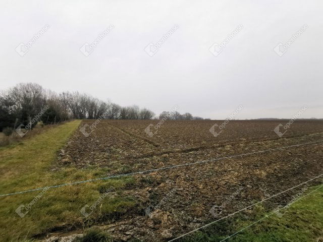Eladó mezogazdasagi ingatlan, Sármelléken 10.2 M Ft