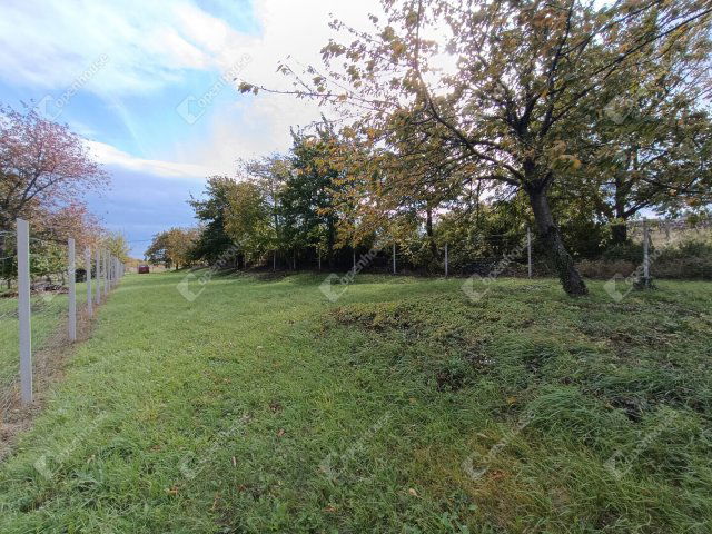 Eladó telek, Sopronban 11.9 M Ft / költözzbe.hu