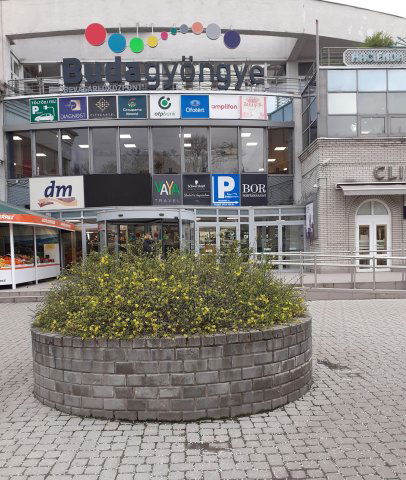 Kiadó üzlethelyiség, Budapesten, II. kerületben, Pázsit utcában