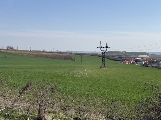 Eladó telek, Várpalotán 250 M Ft / költözzbe.hu