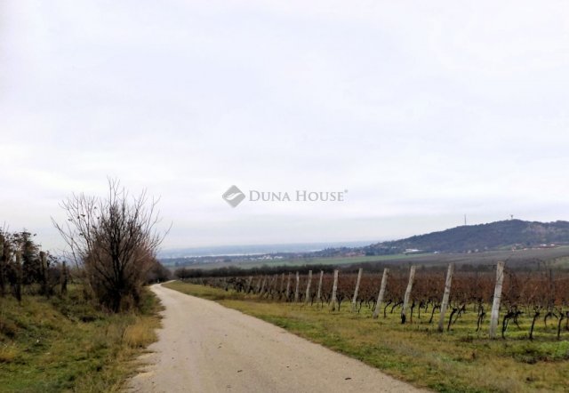 Eladó mezogazdasagi ingatlan, Nadapon 15 M Ft