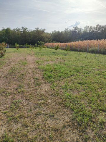 Eladó telek, Szigetcsépen 20.5 M Ft / költözzbe.hu