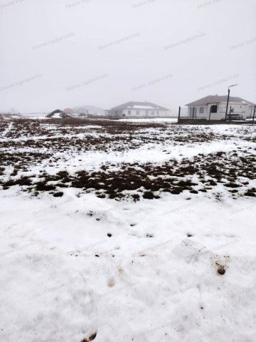 Eladó telek, Tarjánon 19.5 M Ft / költözzbe.hu