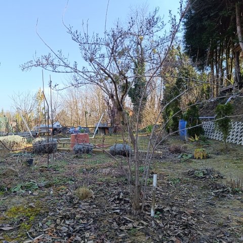 Eladó telek, Zalakaroson 9.99 M Ft / költözzbe.hu