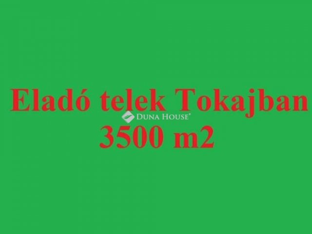 Eladó telek, Tokajban 2.1 M Ft / költözzbe.hu