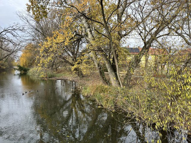 Eladó családi ház, Békéscsabán 64.99 M Ft, 3 szobás