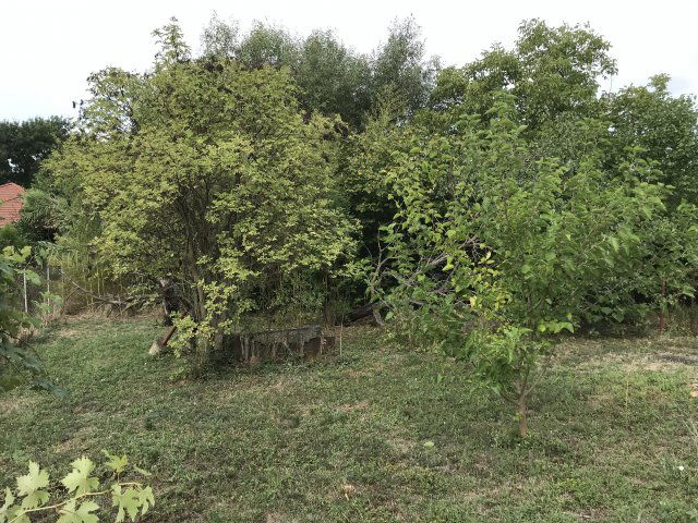 Eladó családi ház, Békéscsabán 29.5 M Ft, 3 szobás