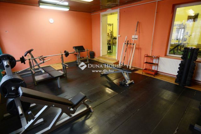 Eladó ipari ingatlan, Nagykőrösön 280 M Ft