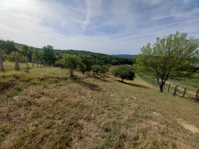 Eladó telek, Őrbottyánban 63.5 M Ft / költözzbe.hu