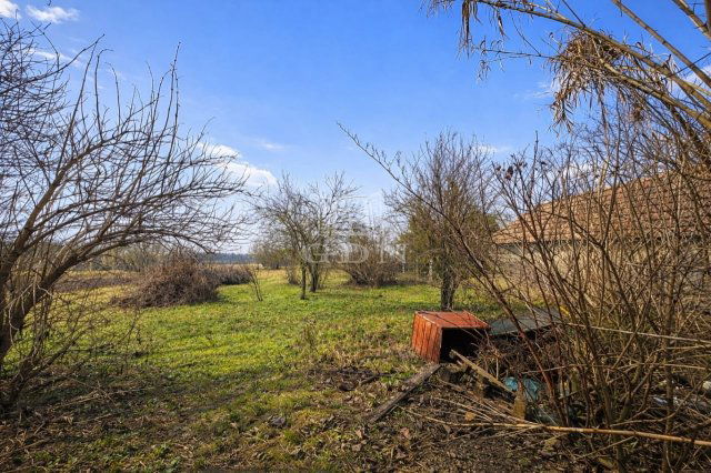 Eladó családi ház, Sárszentmihályon 32.9 M Ft, 2+1 szobás