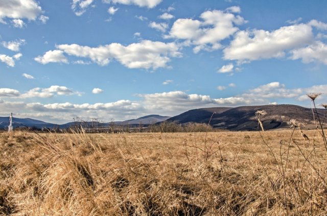 Eladó mezogazdasagi ingatlan, Erdőbényén 36 M Ft