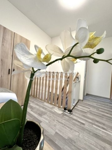 Eladó családi ház, Budapesten, XIX. kerületben 85 M Ft, 4 szobás