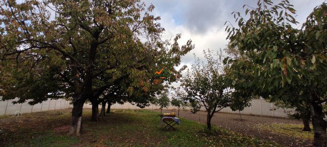 Eladó telek, Szigetszentmiklóson 85 M Ft / költözzbe.hu