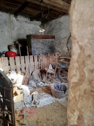 Eladó családi ház, Lippón 3.9 M Ft, 2 szobás